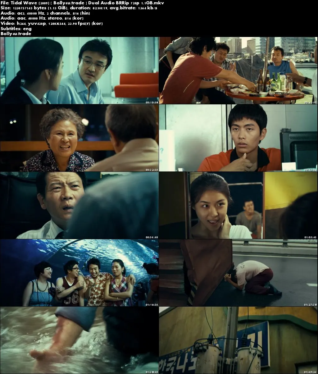 Tidal Wave 2009 BRRip 350MB Hindi Dual Audio 480p ESub Download Tidal Wave 2009 BRRip 350MB Hindi Dual Audio 480p ESub Download