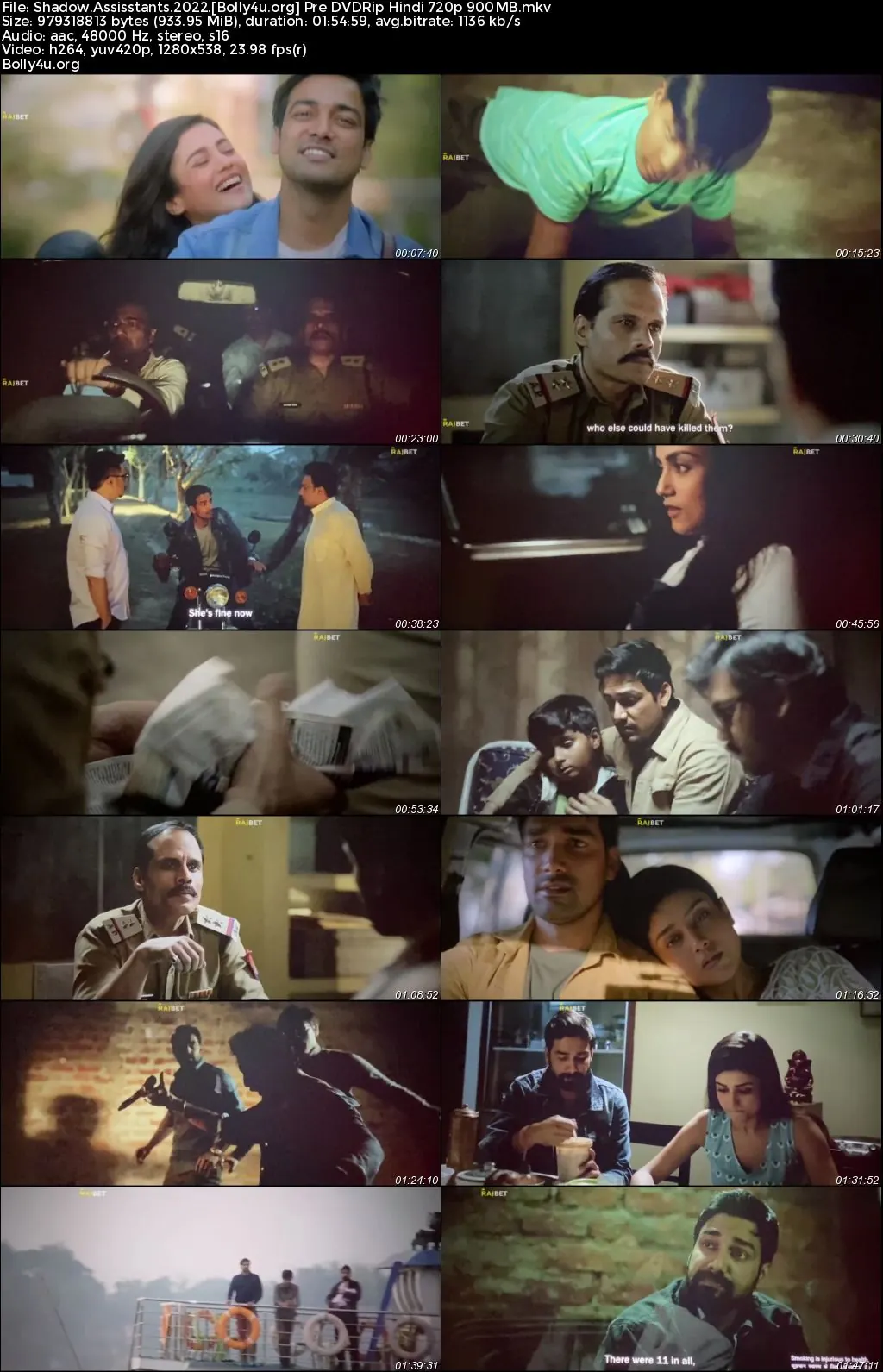 Shadow Assassins 2022 Pre DVDRip Hindi Full Movie Download 720p  480p