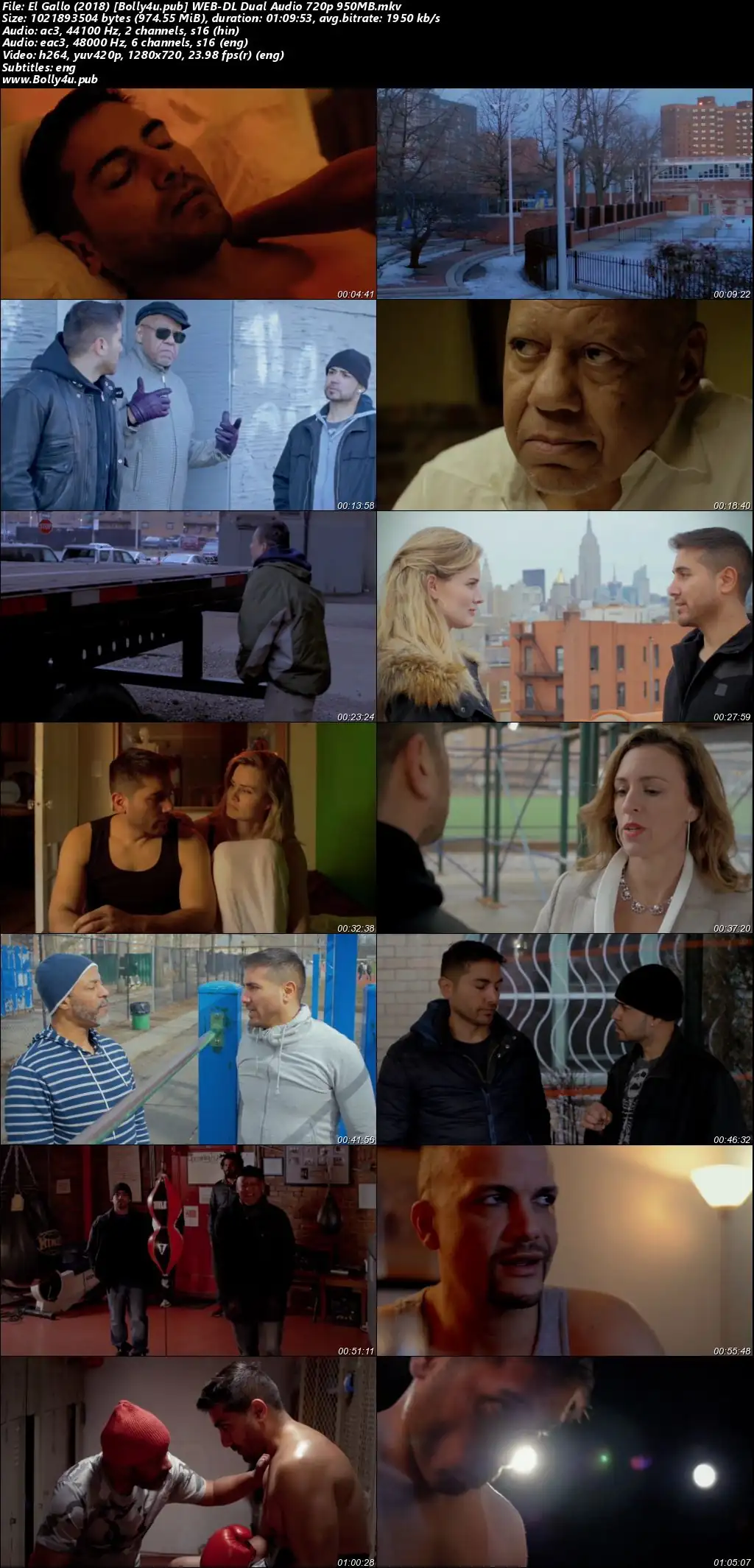 El Gallo 2018 WEB-DL Hindi Dual Audio Full Movie Download 720p  480p