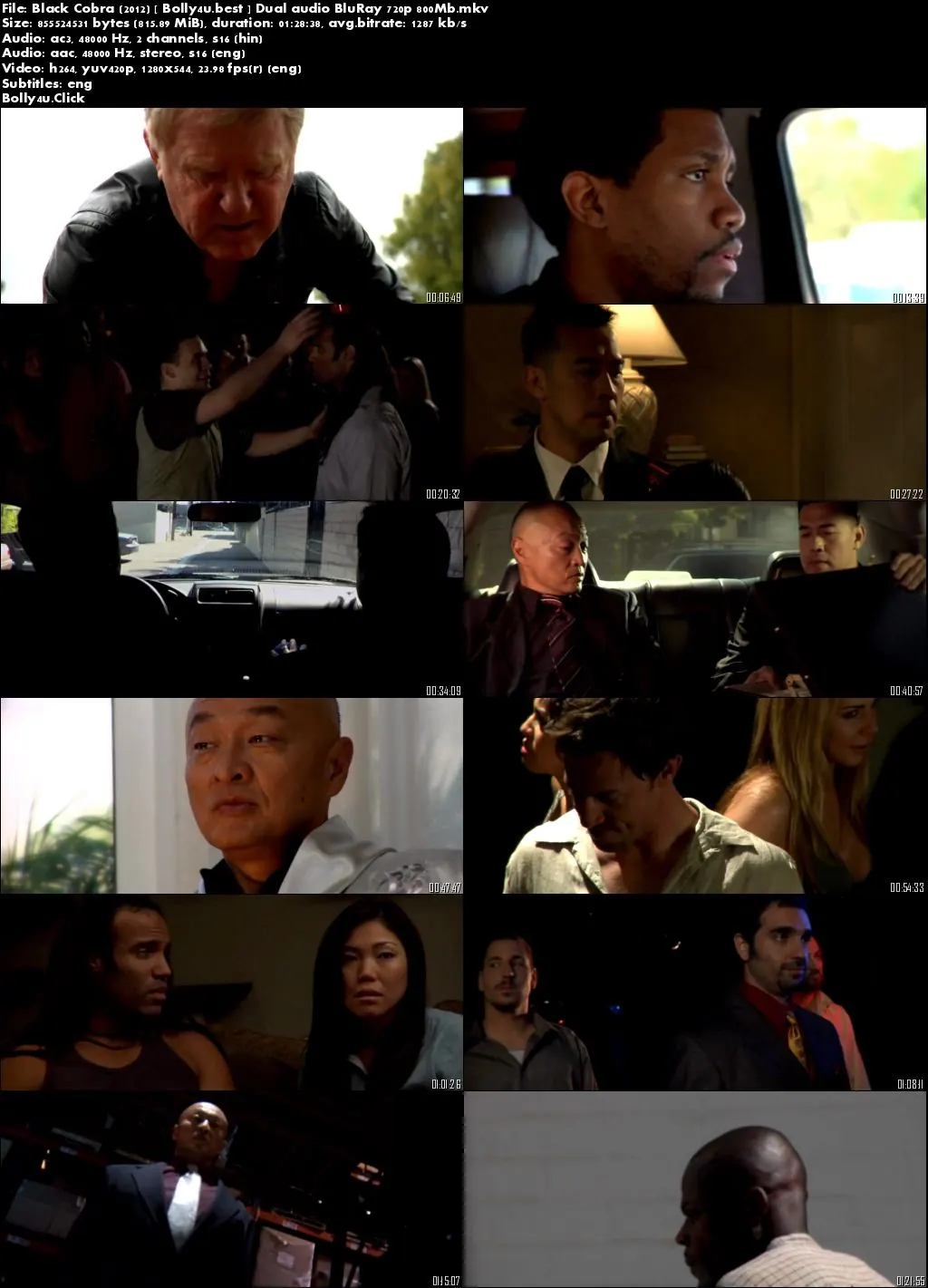 Black Cobra 2012 BluRay 300MB Hindi Dual Audio 480p Download Black Cobra 2012 BluRay 300MB Hindi Dual Audio 480p Download
