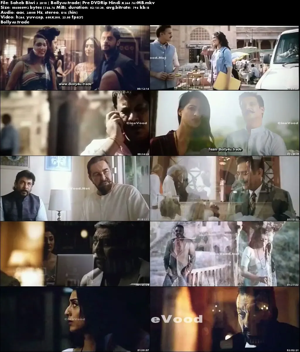 Saheb Biwi Aur Ganster 3 2018 Pre DVDRip 400Mb Full Hindi Movie Download 480p