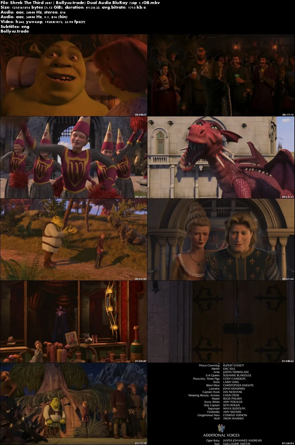 Shrek The Third 2007 BluRay 300MB Hindi Dubbed Dual Audio 480p Download