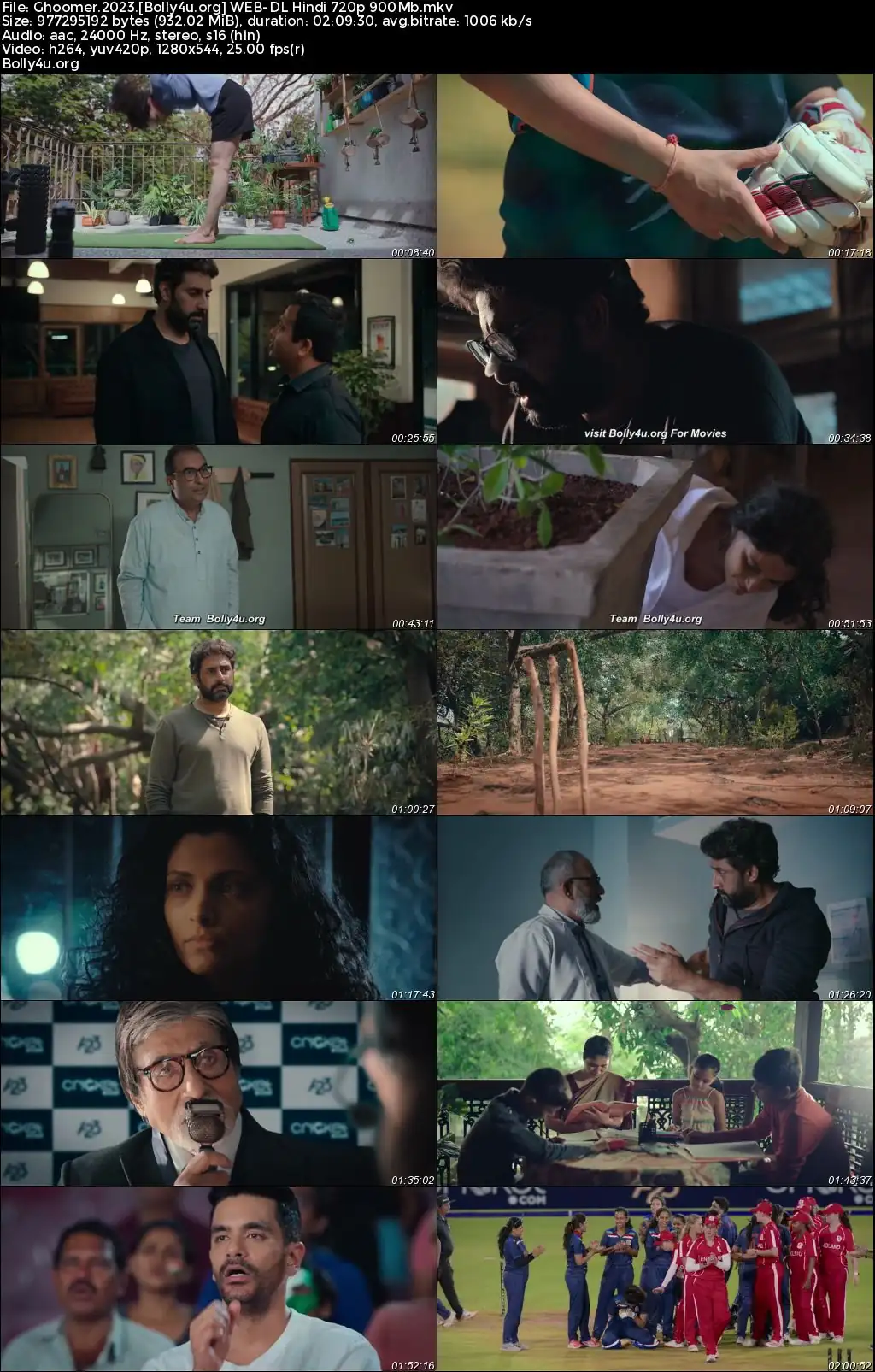 Ghoomer 2023 WEB-DL Hindi Full Movie Download 1080p  720p  480p