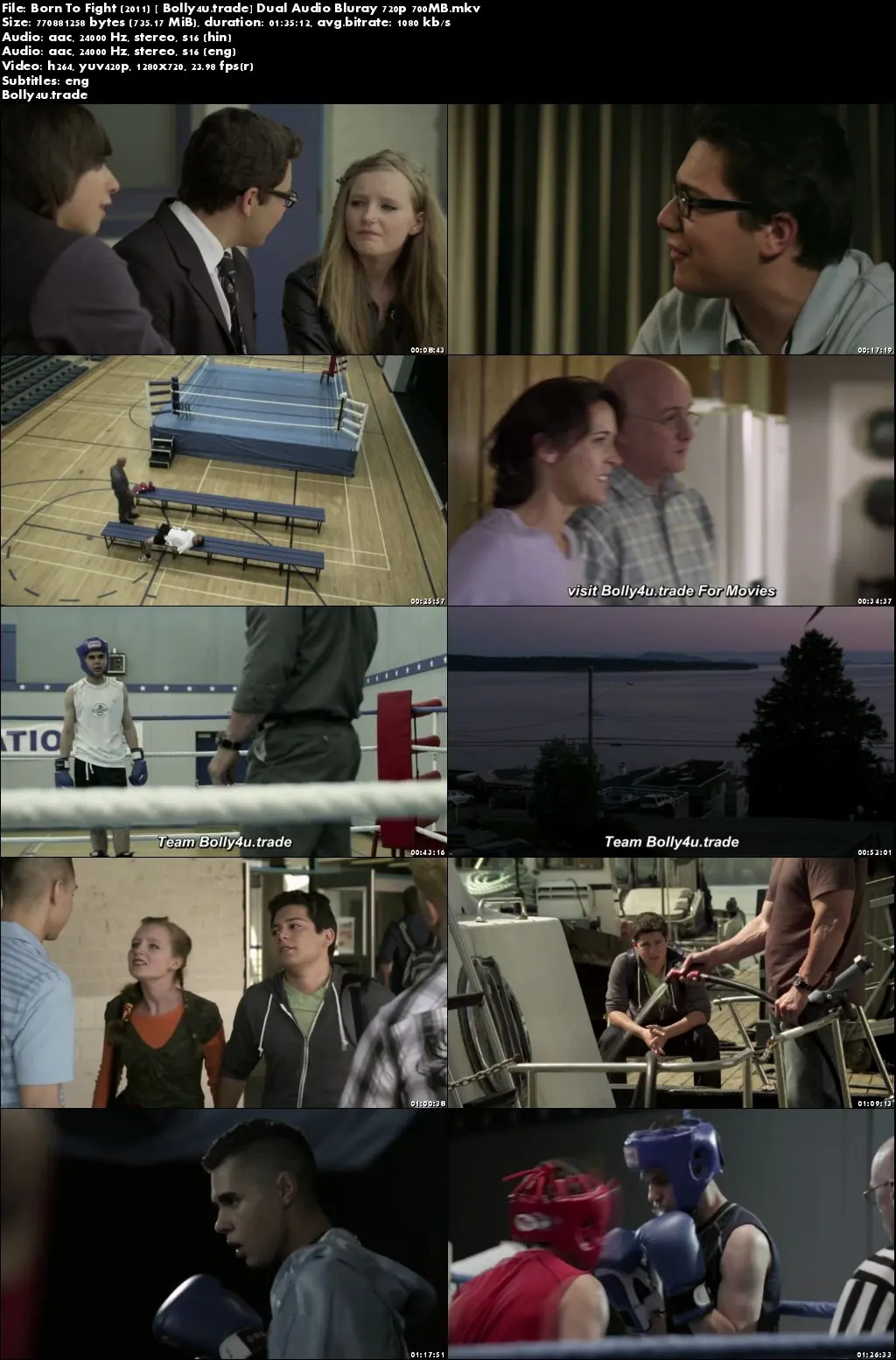 Born To Fight 2011 BluRay 300MB Hindi Dubbed Dual Audio 480p Download