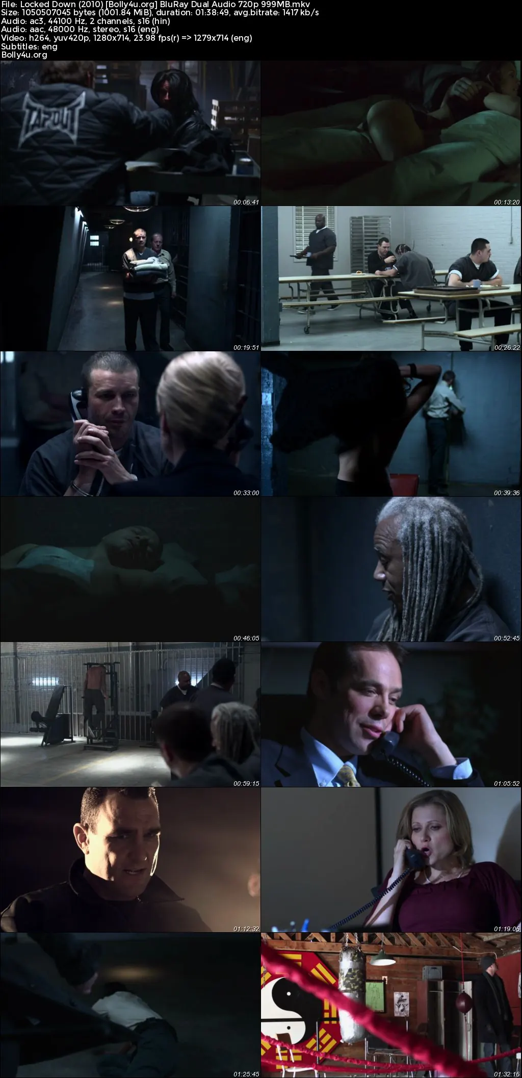Locked Down 2010 BluRay Hindi Dual Audio Full Movie Download 720p  480p