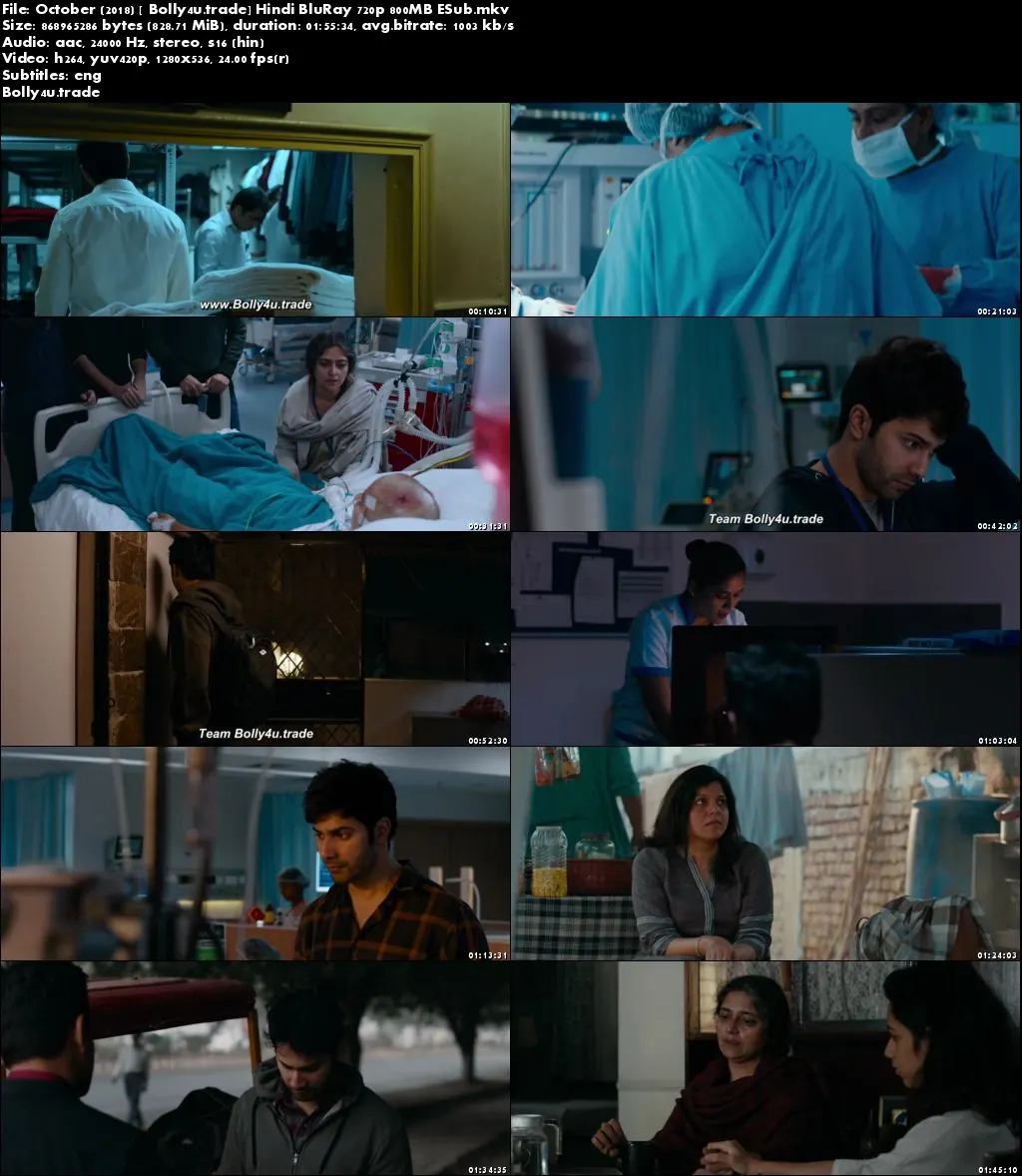 October 2018 BluRay 350Mb Full Hindi Movie Download 480p ESub