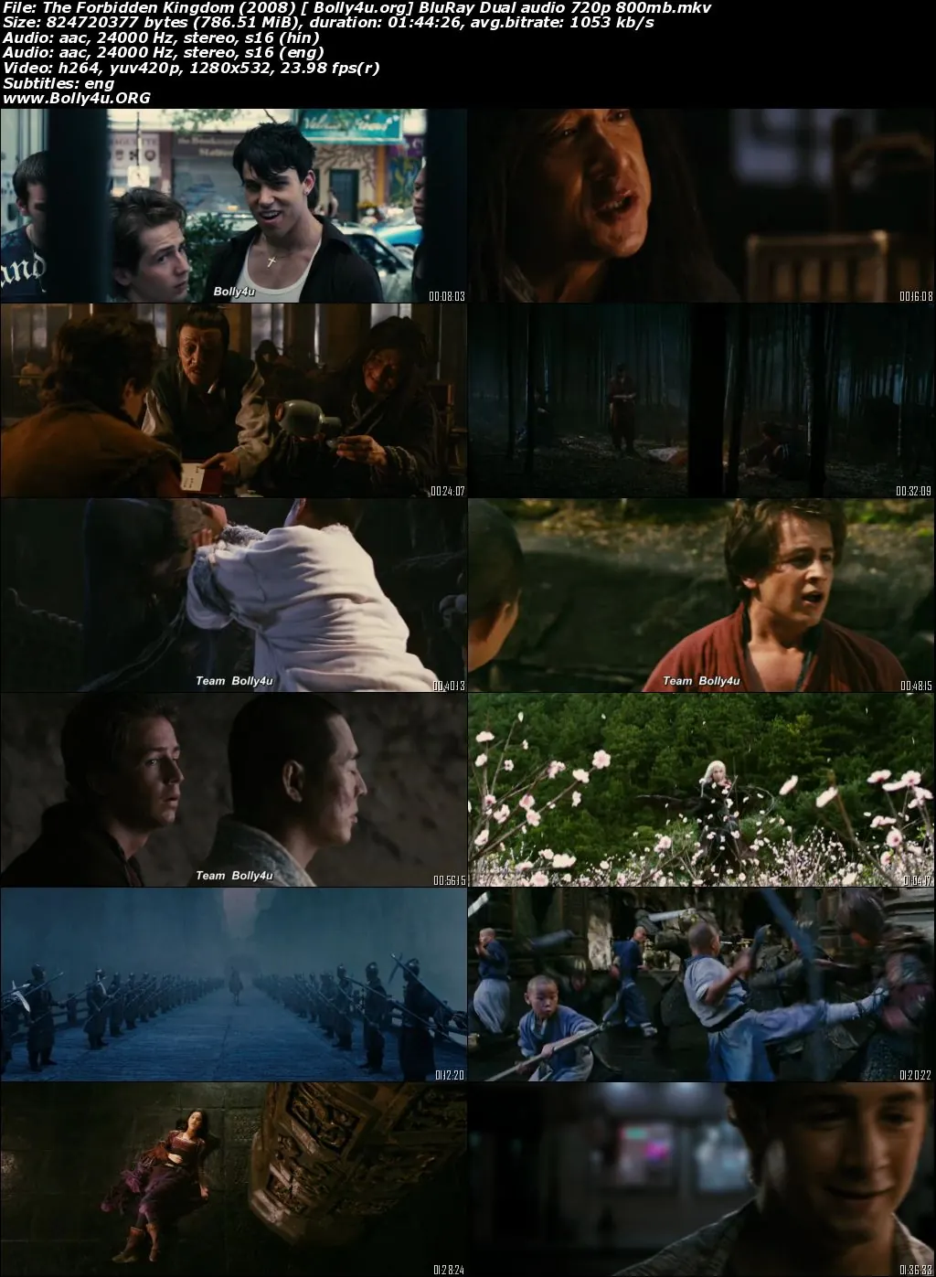 The Forbidden Kingdom 2008 BluRay 350MB Hindi Dual Audio 480p Download