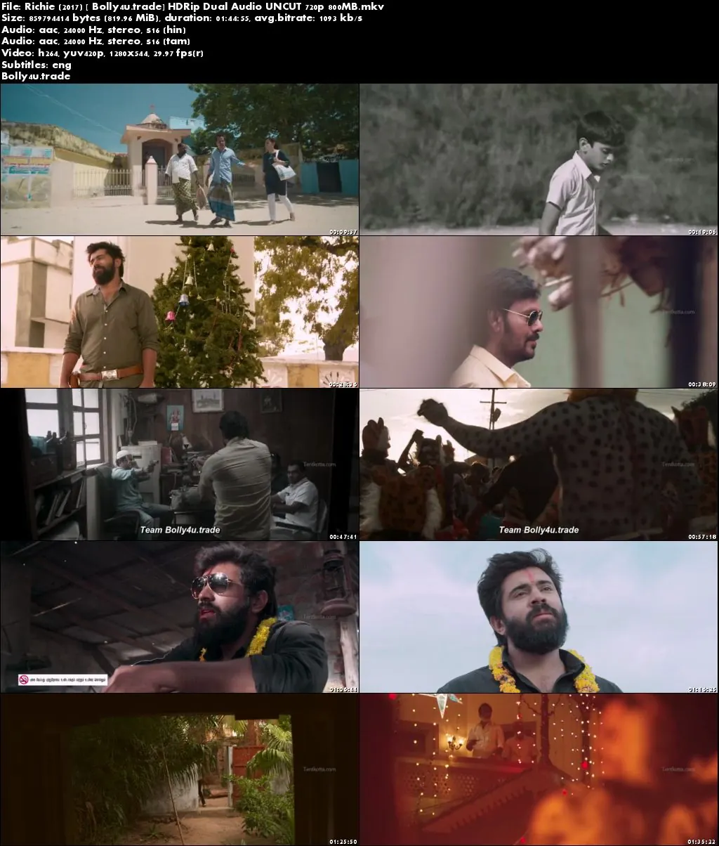 Richie 2017 HDRip 800Mb UNCUT Hindi Dual Audio 720p Download