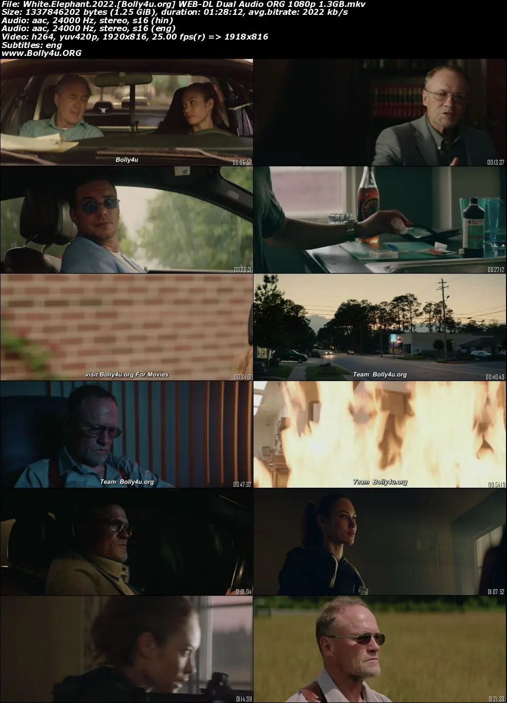 White Elephant 2022 WEB-DL Hindi Dual Audio ORG Full Movie Download 1080p  720p  480p