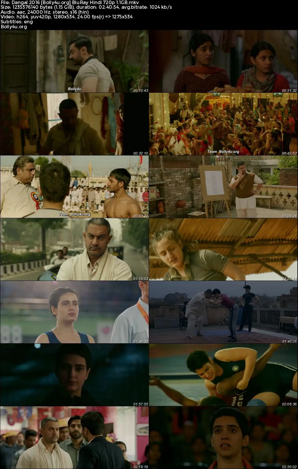 Dangal 2016 BluRay Hindi Full Movie Download 1080p  720p  480p