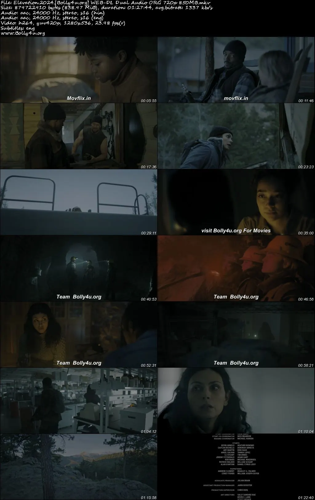 Elevation 2024 WEB-DL Hindi Dual Audio ORG Full Movie Download 1080p  720p  480p