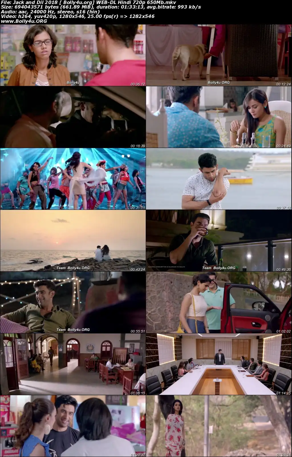 Jack and Dil 2018 WEB-DL 650MB Hindi 720p Download