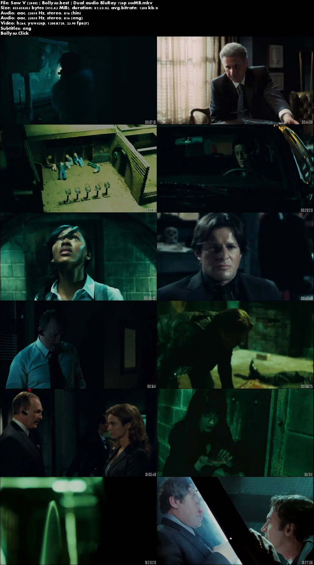 Saw V 2008 BluRay 300MB Hindi Dual Audio 480p Download