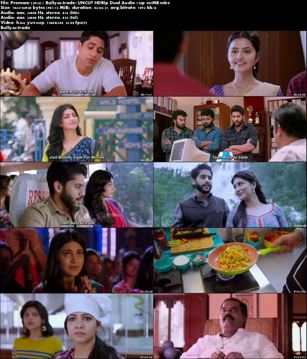 Premam 2016 HDRip 950MB UNCUT Hindi Dual Audio 720p Download