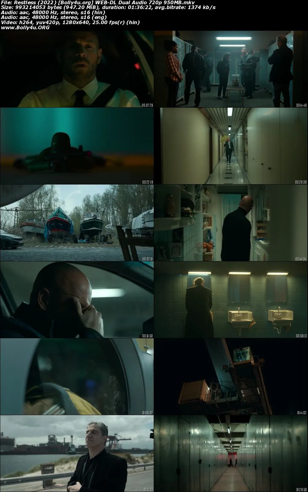 Restless 2022 WEB-DL Hindi Dual Audio 720p 480p Download