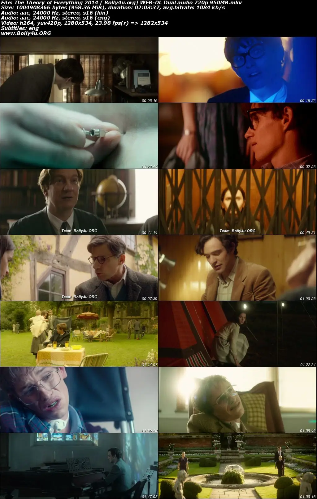 The Theory of Everything 2014 WEB-DL 300Mb Hindi Dual Audio 480p Download