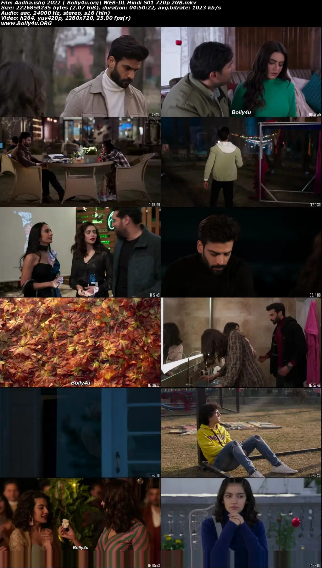 Aadha Ishq 2022 WEB-DL Hindi S01 Download 720p  480p