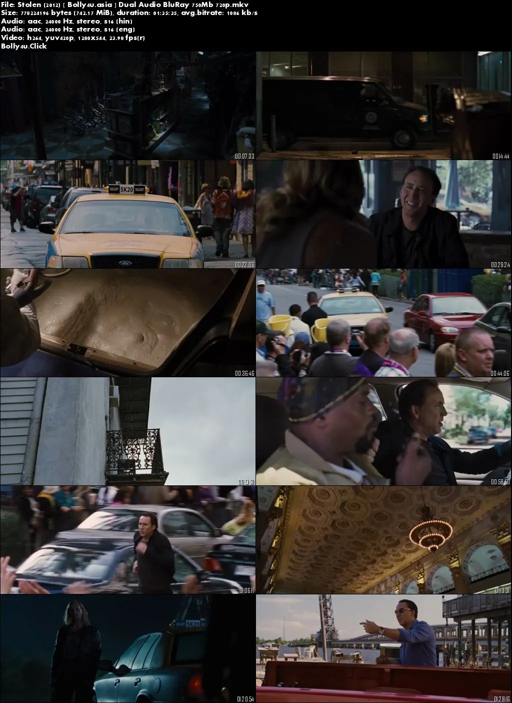 Stolen 2012 BRRip 300Mb Hindi Dual Audio 480p Download
