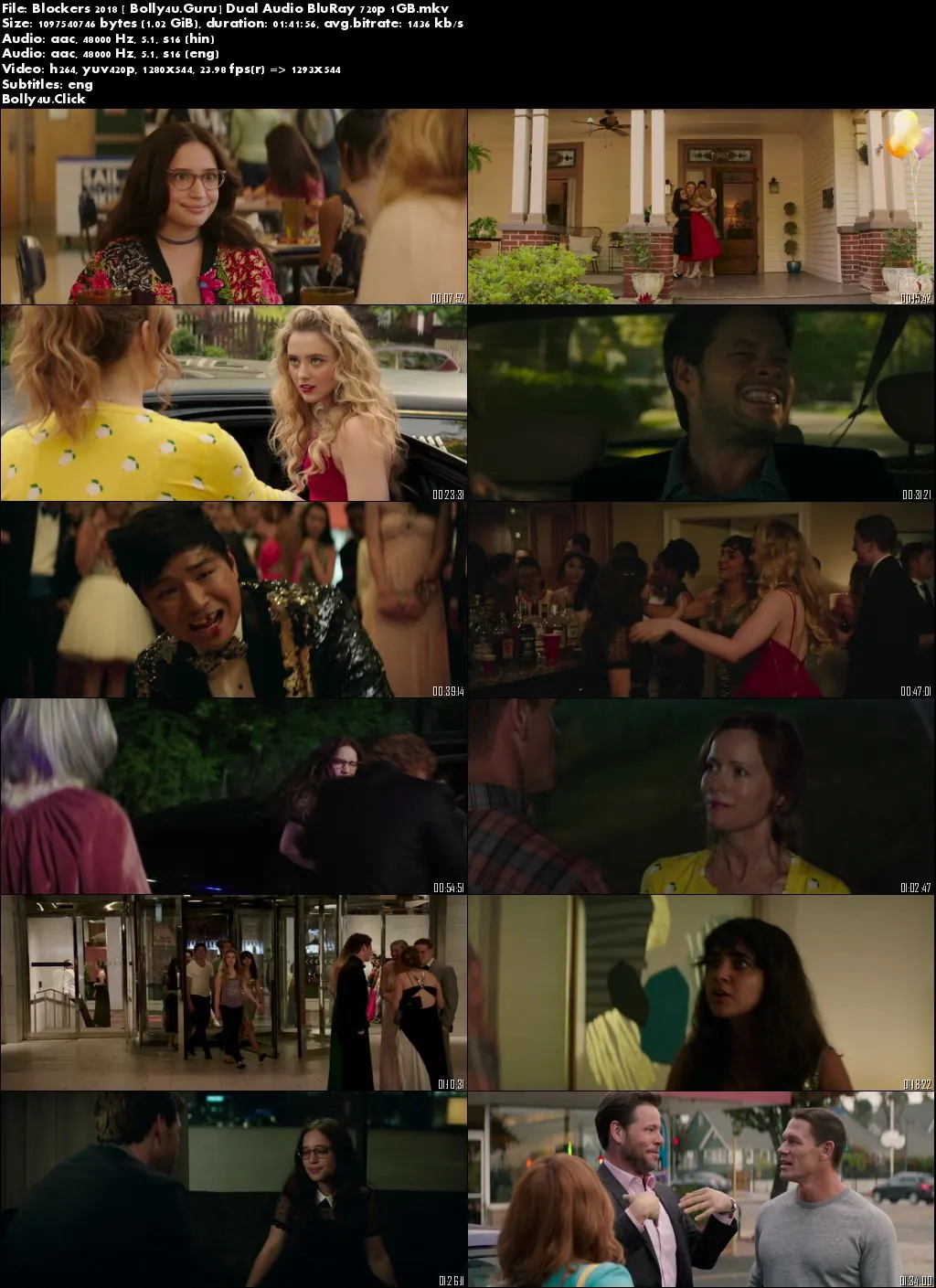 Blockers 2018 BluRay 300MB Hindi Dual Audio 480p download