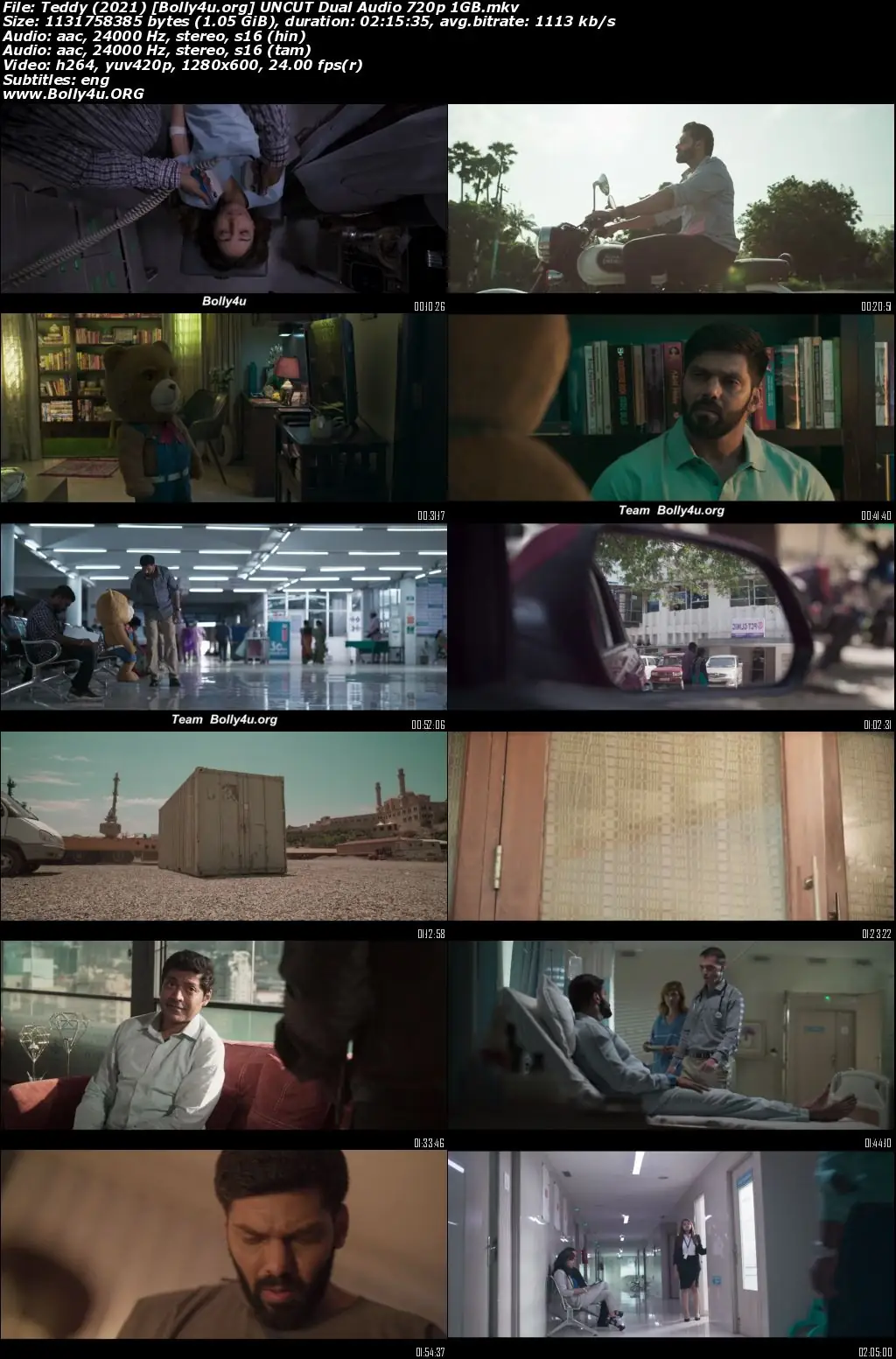 Teddy 2021 Hindi Dual Audio UNCUT WEB-DL 720p 480p Download Teddy 2021 Hindi Dual Audio UNCUT WEB-DL 720p 480p Download