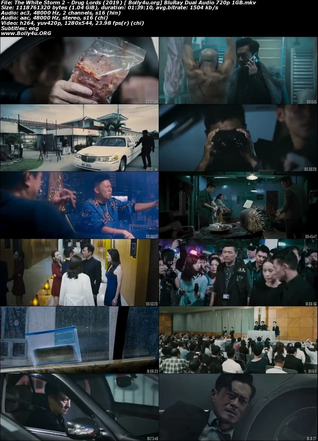 The White Storm 2 Drug Lords 2019 BluRay 1GB Hindi Dual Audio 720p Download