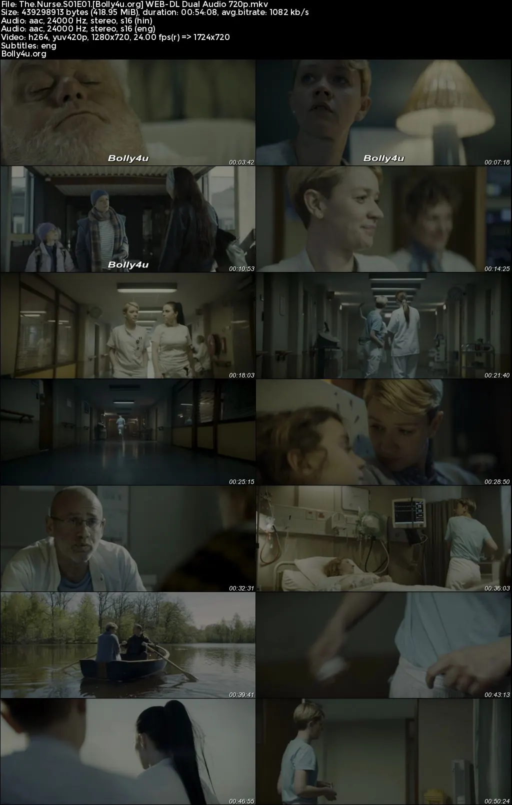 The Nurse 2023 WEB-DL Hindi Dual Audio ORG S01 Complete Download 720p  480p