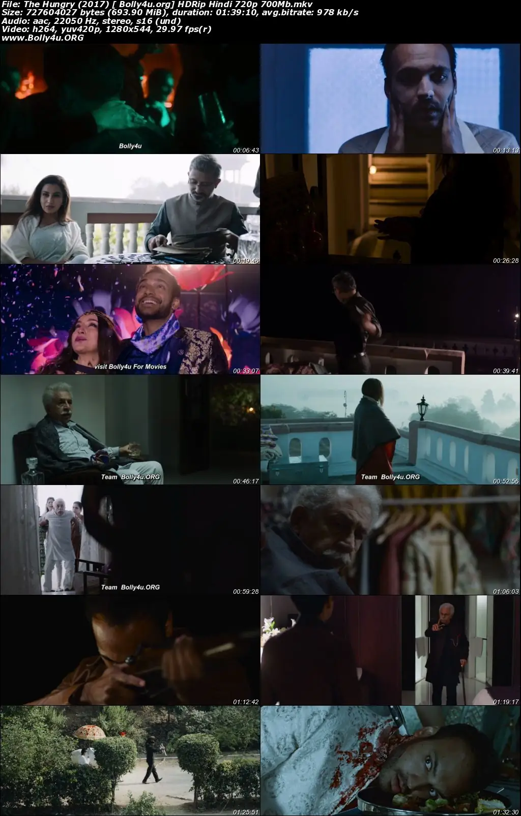 The Hungry 2017 HDRip 300Mb Hindi Movie Download 480p
