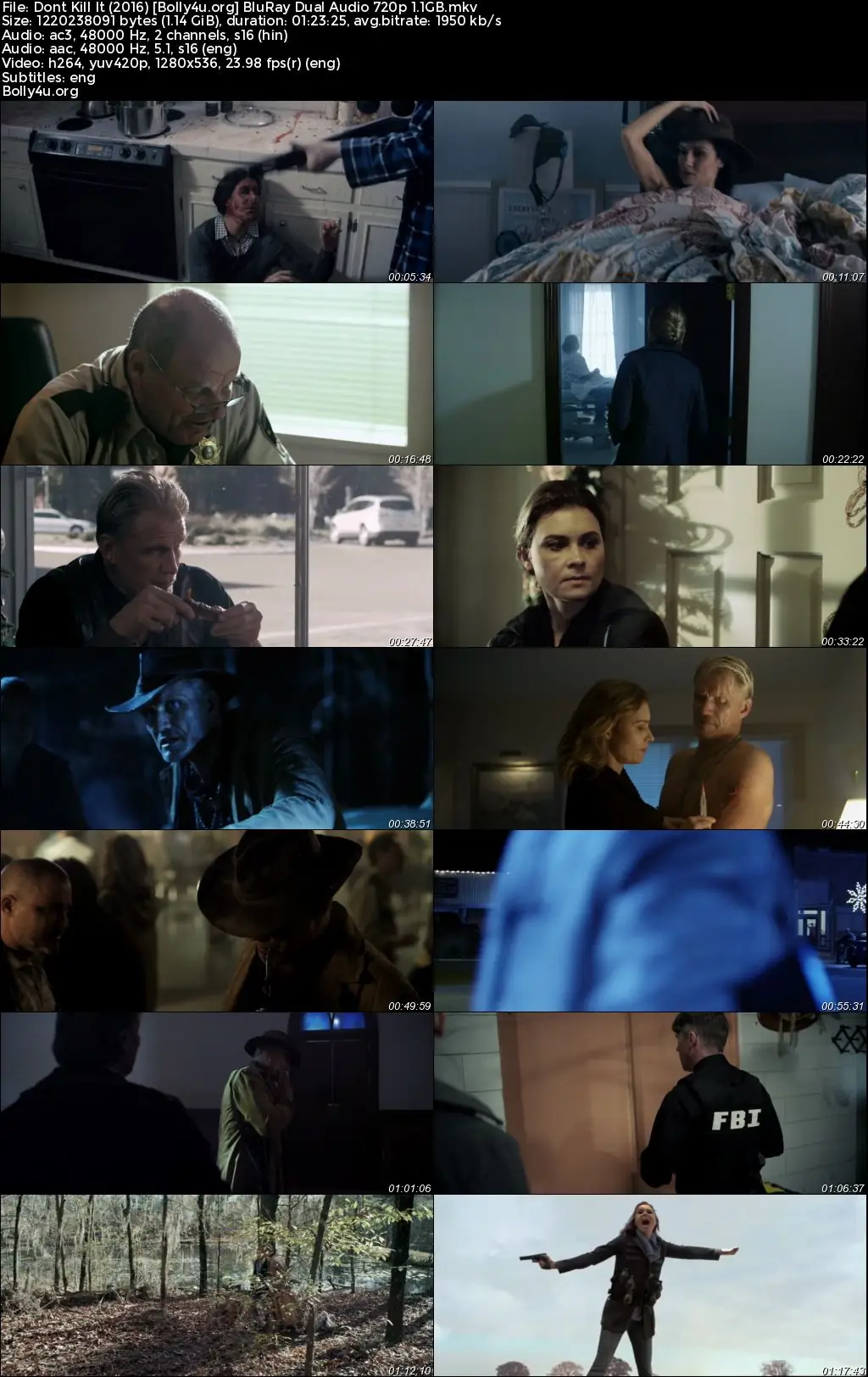 Dont Kill It 2016 BluRay Hindi Dual Audio Full Movie Download 720p  480p
