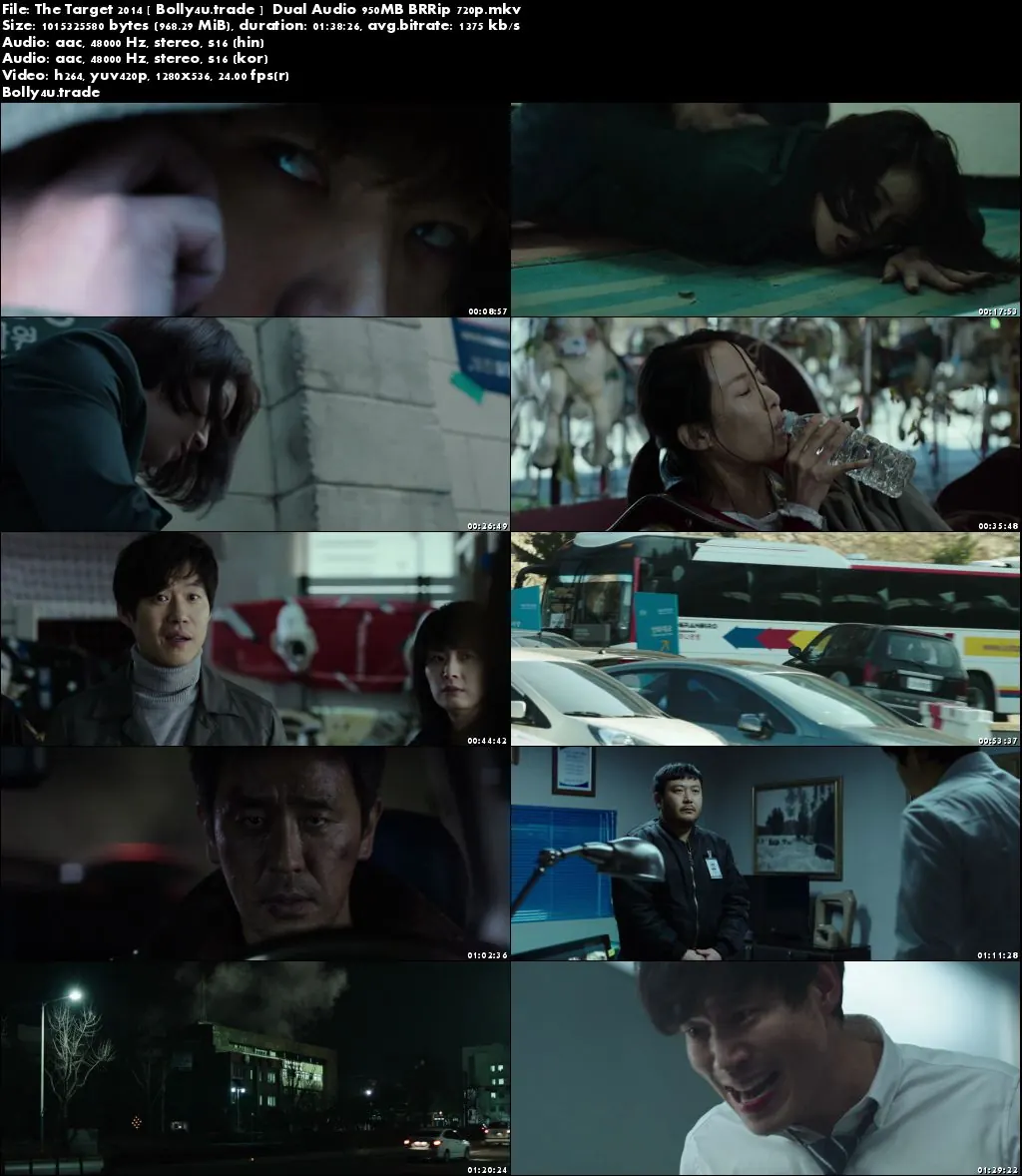 The Target 2014 BRRip 300Mb Hindi Dual Audio 480p Download