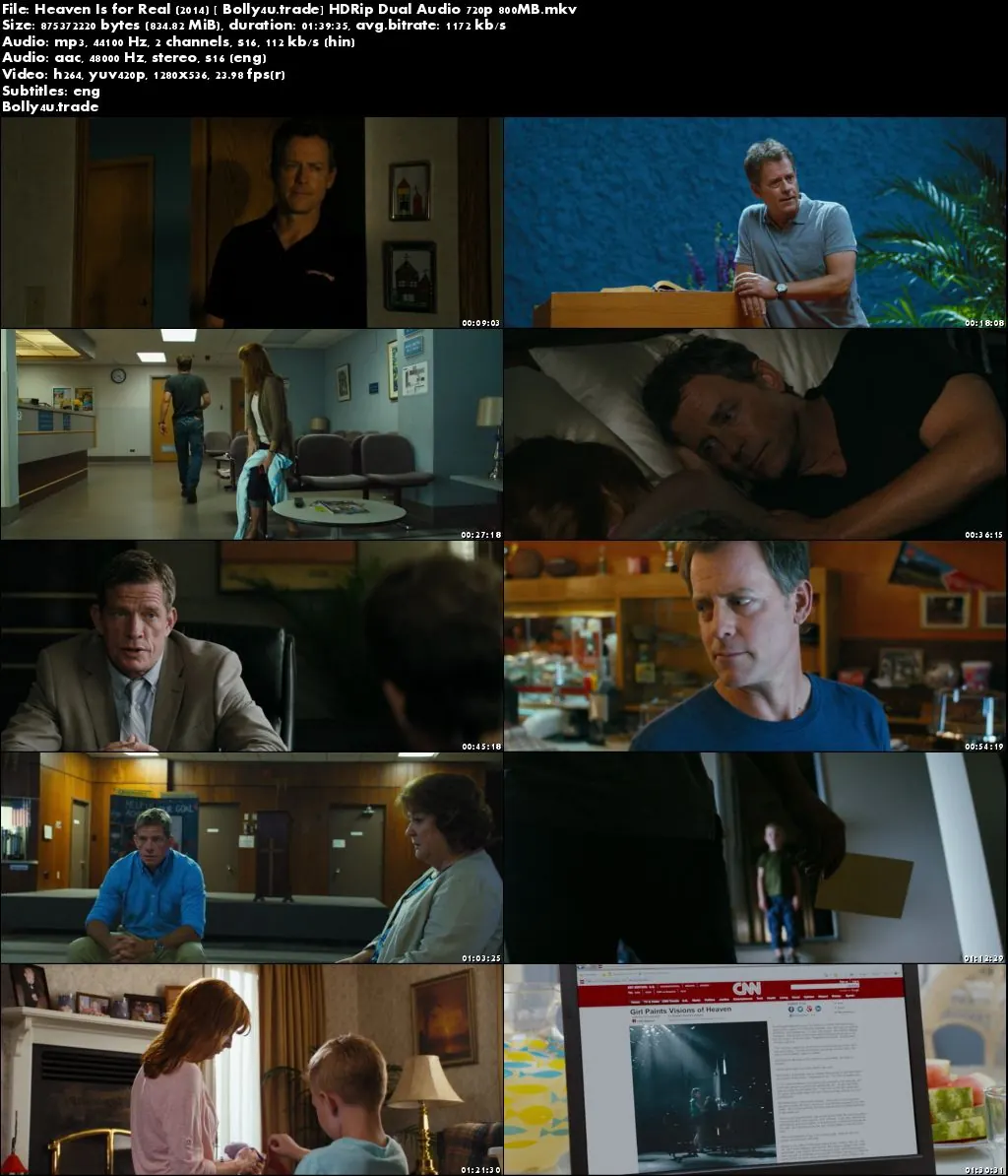 Heaven Is for Real 2014 HDRip 300MB Hindi Dubbed Dual Audio 480p Download