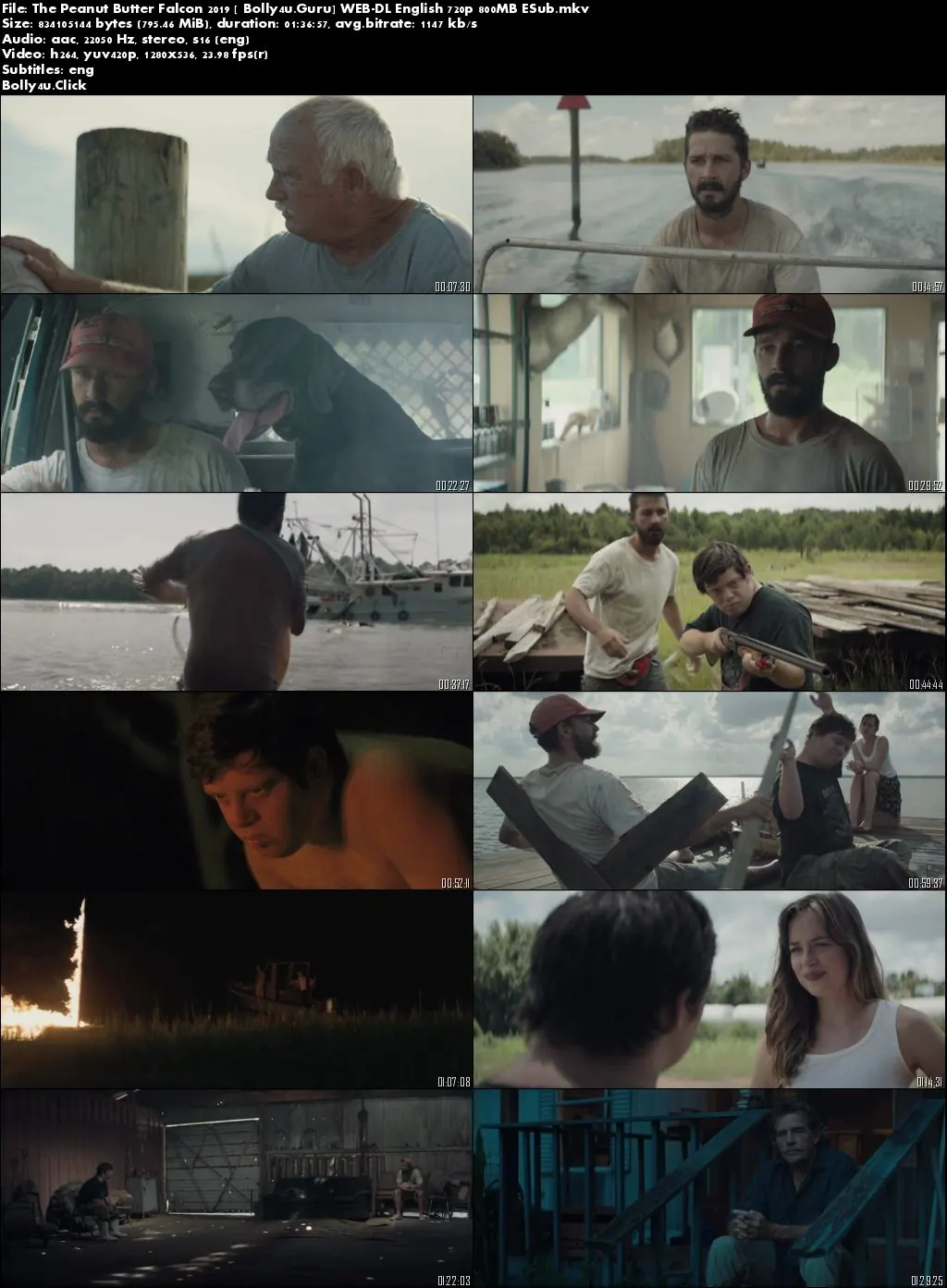 The Peanut Butter Falcon 2019 WEB-DL 300MB English 480p ESub Download The Peanut Butter Falcon 2019 WEB-DL 300MB English 480p ESub Download