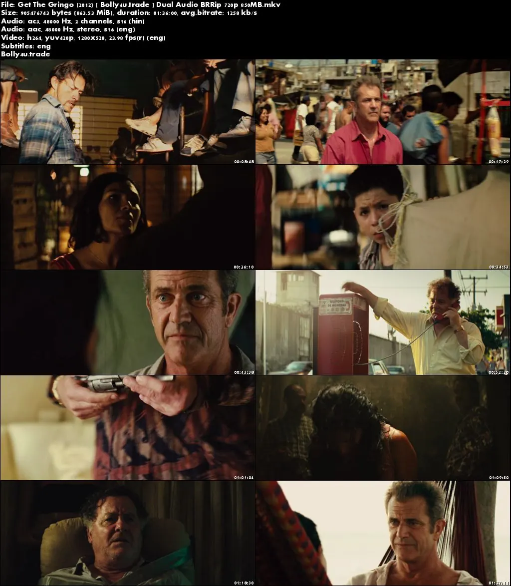 Get The Gringo 2012 BRRip 300MB Hindi Dual Audio 480p Download