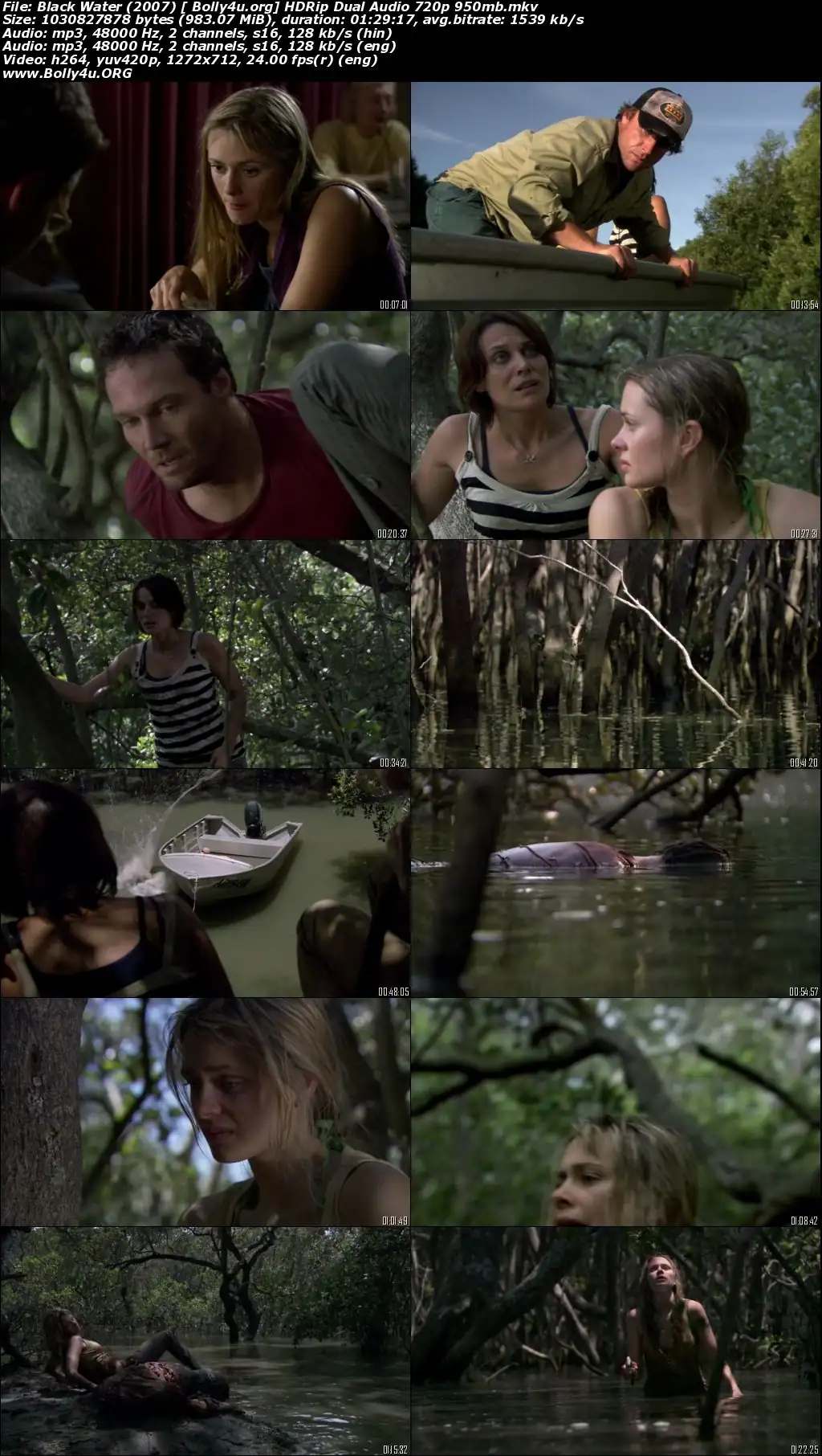 Black Water 2007 HDRip 300Mb Hindi Dual Audio 480p download Black Water 2007 HDRip 300Mb Hindi Dual Audio 480p download
