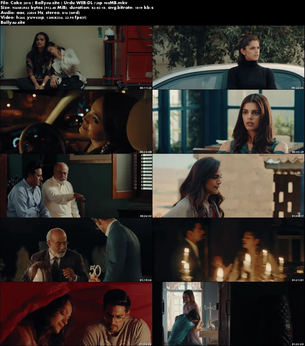 Cake 2018 WEB-DL 900Mb Urdu 720p Download