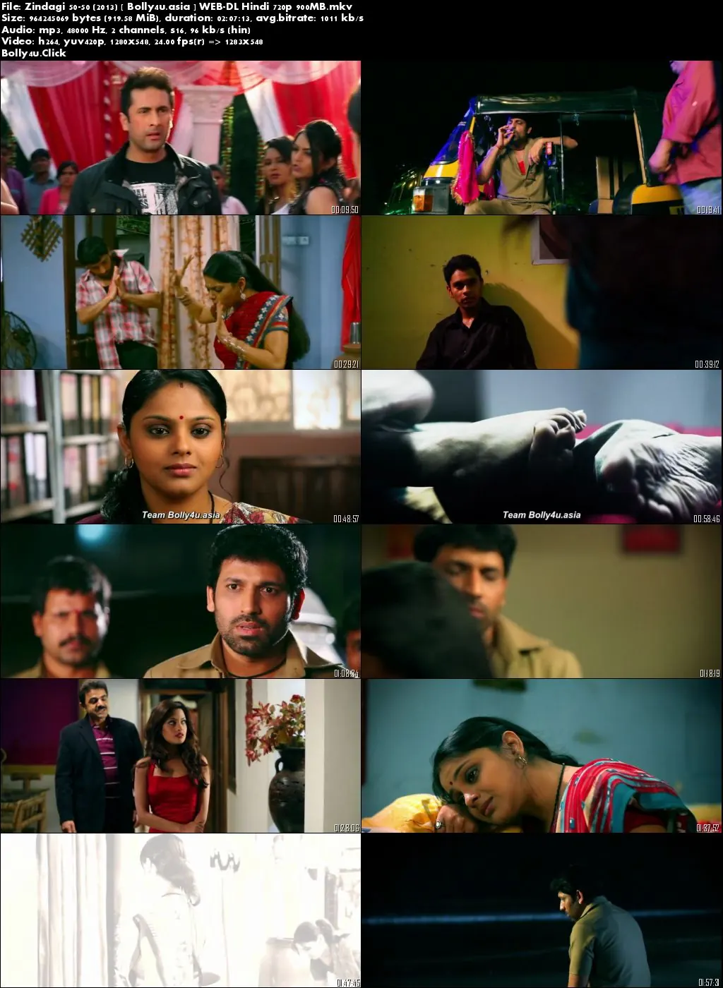Zindagi 50-50 (2013) WEB-DL 500MB Hindi 480p Download