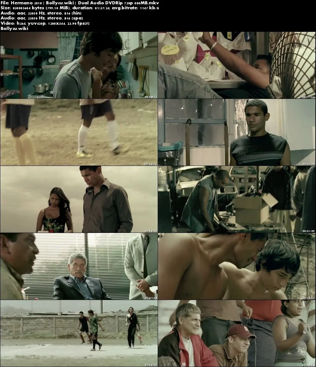 Hermano 2010 DVDRip 300Mb Hindi Dual Audio 480p Download