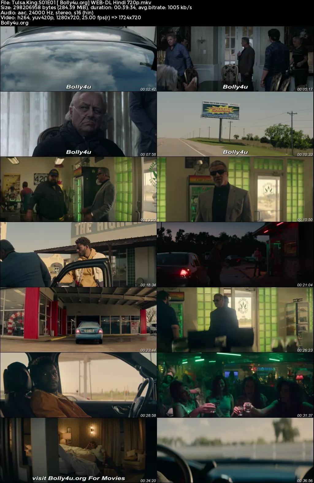 Tulsa King 2023 WEB-DL Hindi ORG S01 Complete Download 720p  480p