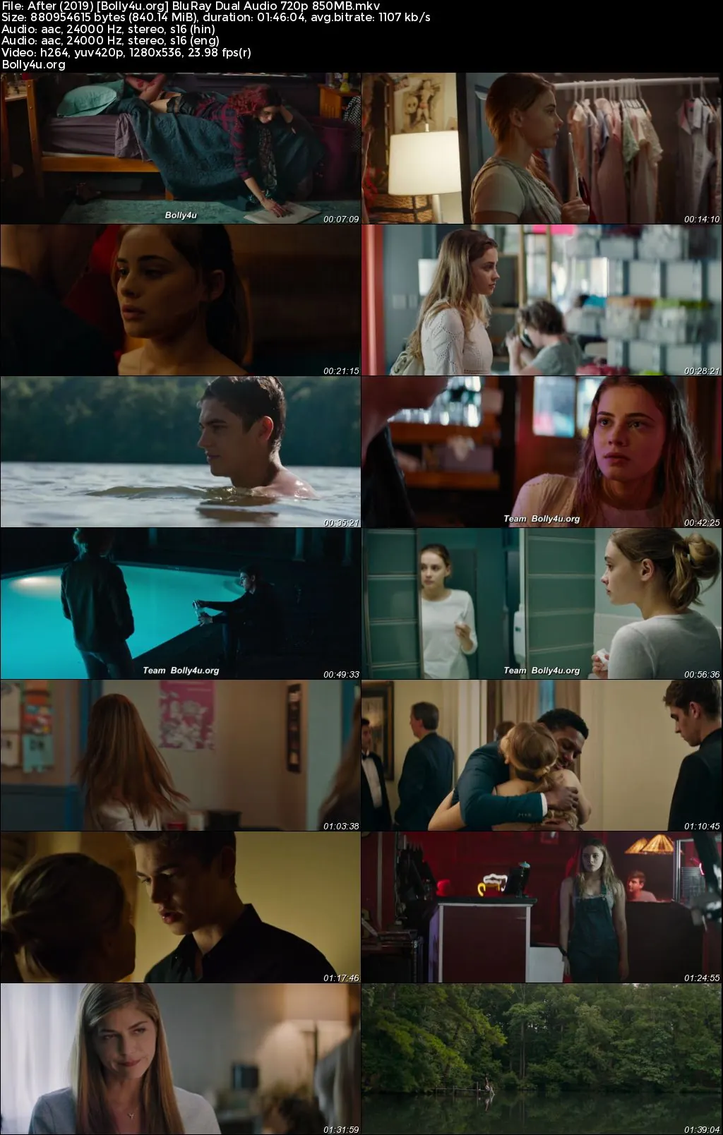 After 2019 BluRay Hindi Dual Audio Full Movie Download 1080p  720p  480p