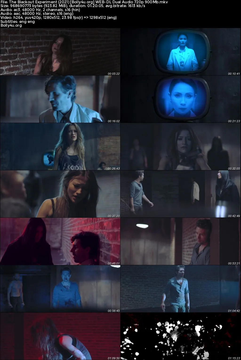 The Blackout Experiment 2021 WEB-DL Hindi Dual Audio Full Movie Download 720p  480p