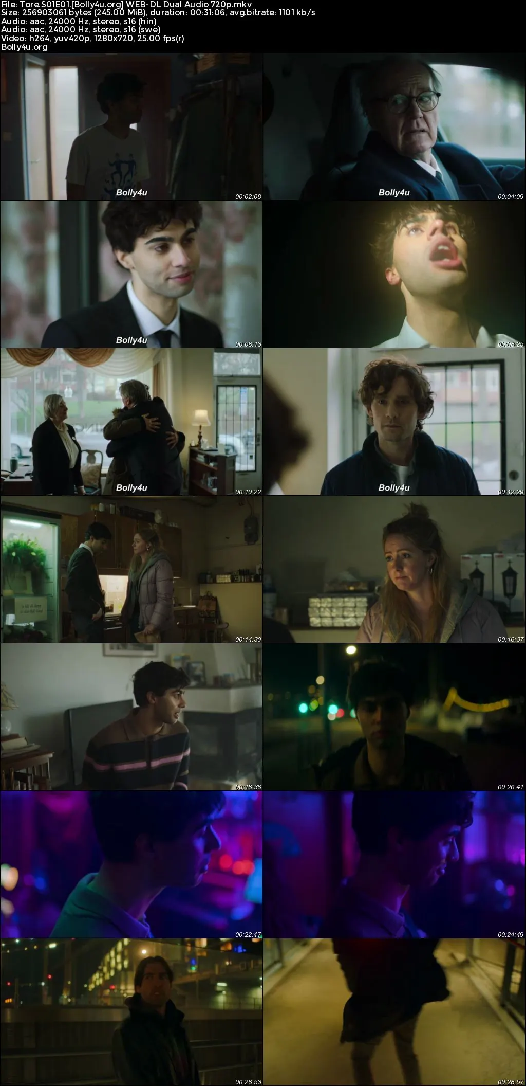 Tore 2023 WEB-DL Hindi Dual Audio ORG S01 Complete Download 720p  480p