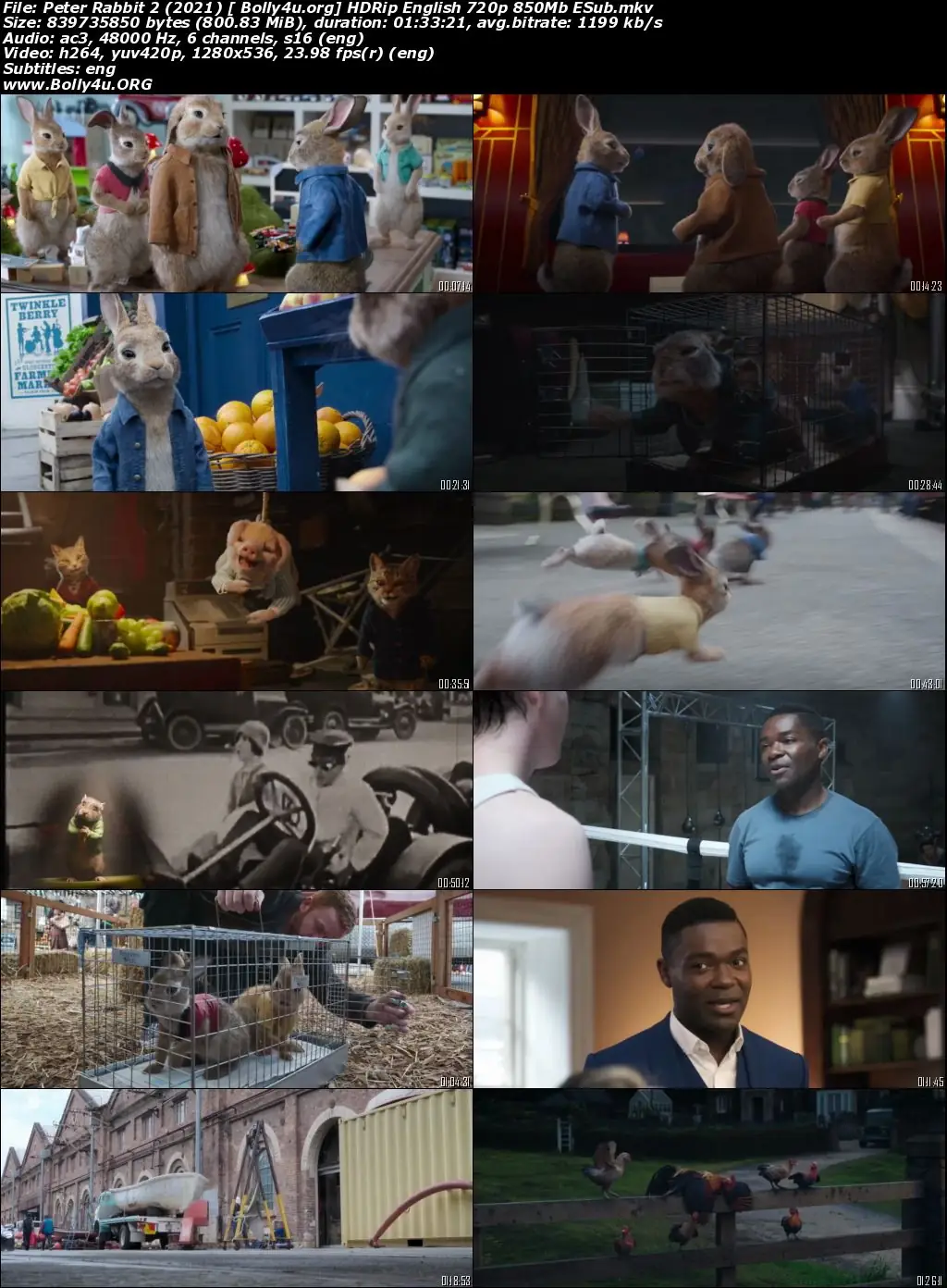 Peter Rabbit 2 2021 HDRip 300MB English 480p ESubs Download Peter Rabbit 2 2021 HDRip 300MB English 480p ESubs Download
