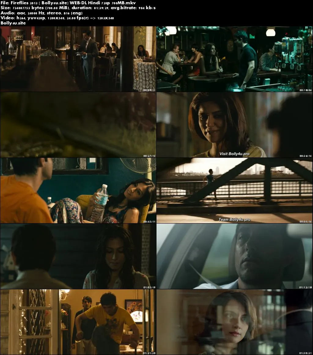 Fireflies 2013 WEB-DL 300MB Hindi 480p Download