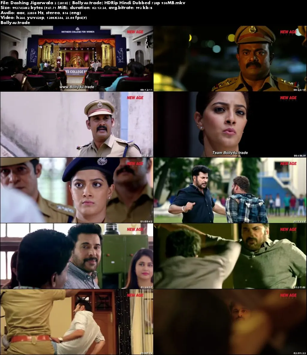 Dashing Jigarwala 2 2018 HDRip 350MB Hindi Dubbed 480p Download