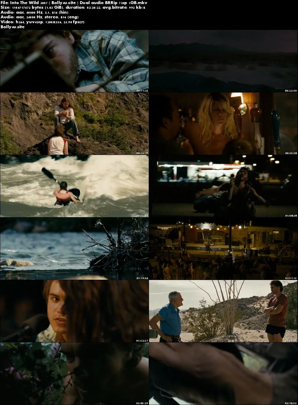 Into The Wild 2007 BRRip 450MB Hindi Dual Audio 480p Download