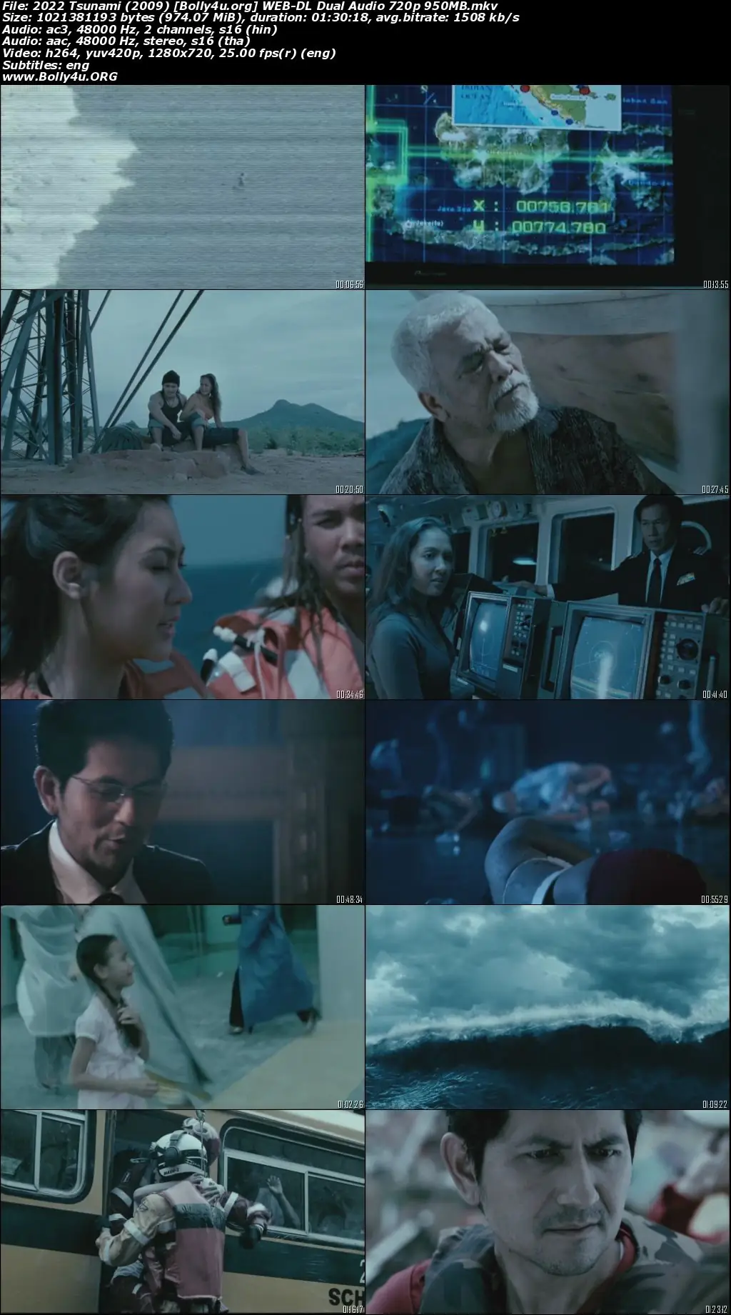 2022 Tsunami 2009 WEB-DL Hindi Dual Audio Full Movie Download 720p  480p