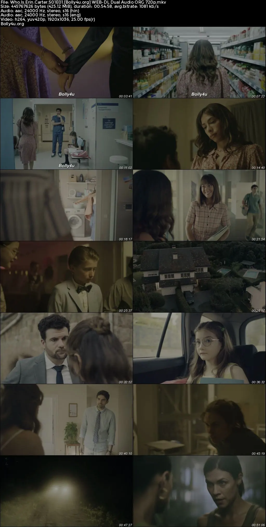 Who Is Erin Carter 2023 WEB-DL Hindi Dual Audio ORG S01 Complete Download 720p  480p