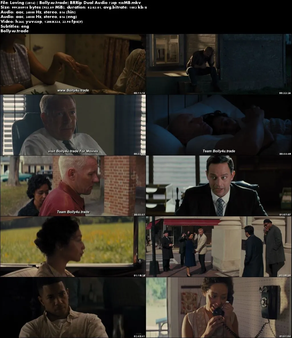 Loving 2016 BRRip 350Mb Hindi Dual Audio 480p ESub Download