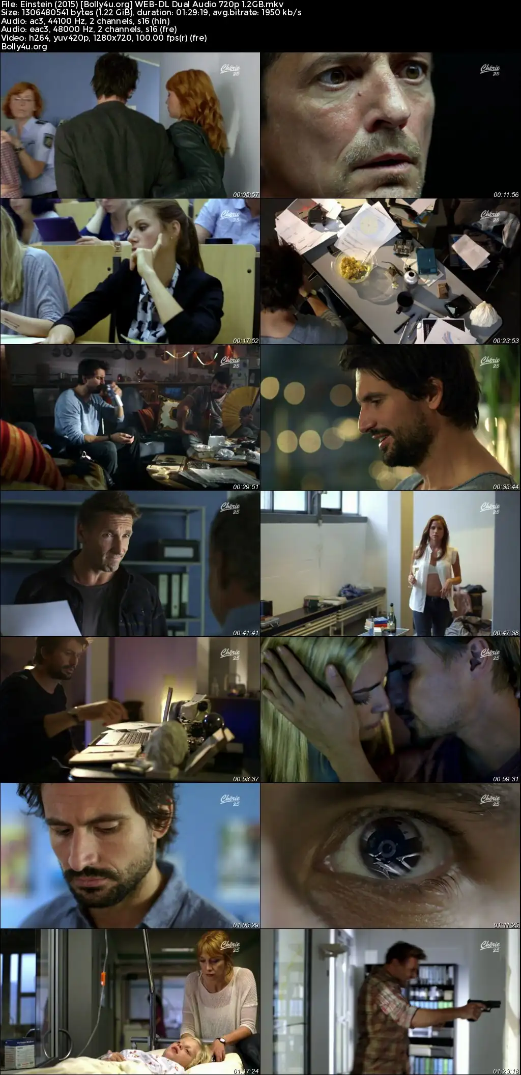 Einstein 2015 WEB-DL Hindi Dual Audio Full Movie Download 720p  480p