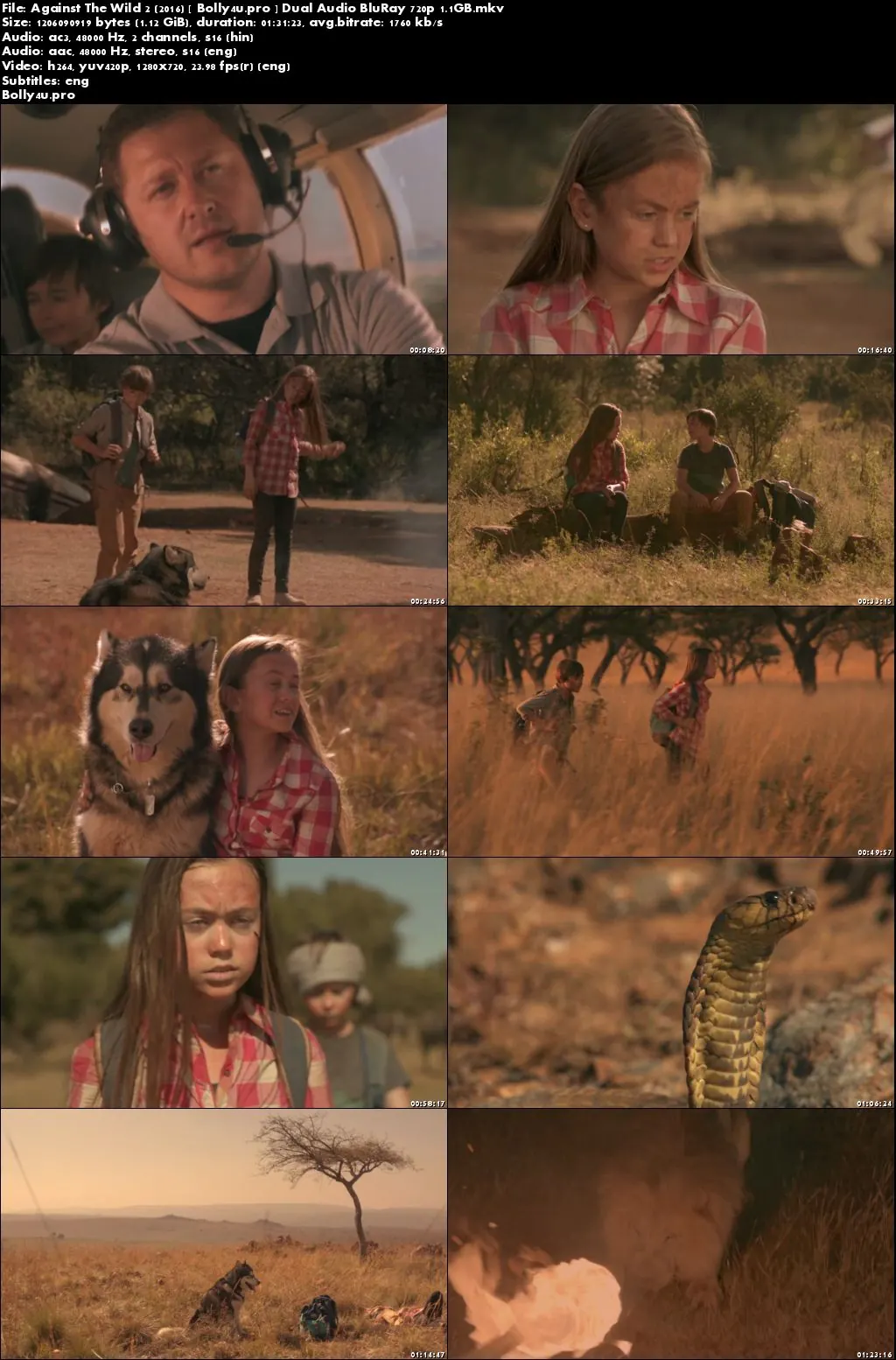 Against The Wild 2 2016 BluRay Hindi Dual Audio 720p ESub Download Against The Wild 2 2016 BluRay Hindi Dual Audio 720p ESub Download