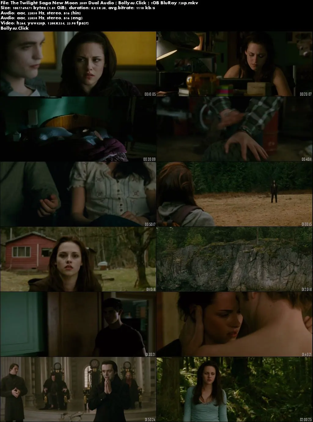 The Twilight Saga New Moon 2009 BRRip 400MB Hindi Dual Audio 480p Download